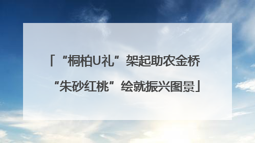 “桐柏U礼”架起助农金桥 “朱砂红桃”绘就振兴图景