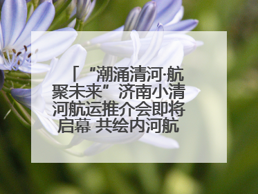 “潮涌清河·航聚未来”济南小清河航运推介会即将启幕 共绘内河航运发展新蓝图