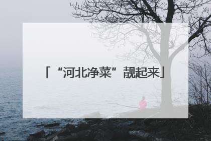 “河北净菜”靓起来
