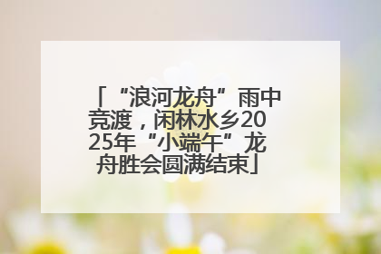 “浪河龙舟”雨中竞渡，闲林水乡2025年“小端午”龙舟胜会圆满结束