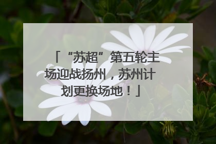 “苏超”第五轮主场迎战扬州，苏州计划更换场地！