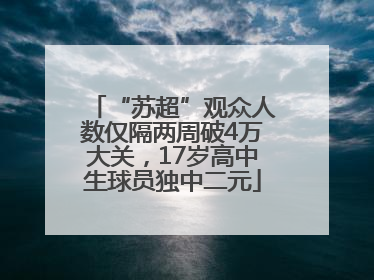 “苏超”观众人数仅隔两周破4万大关，17岁高中生球员独中二元