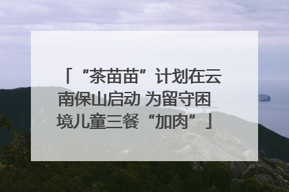 “茶苗苗”计划在云南保山启动 为留守困境儿童三餐“加肉”