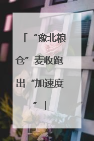 “豫北粮仓”麦收跑出“加速度”