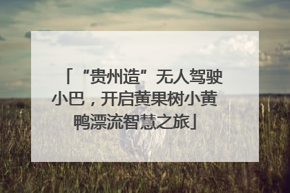 “贵州造”无人驾驶小巴，开启黄果树小黄鸭漂流智慧之旅