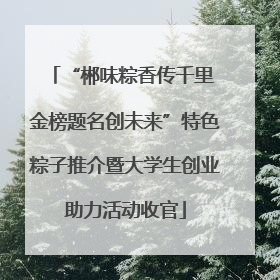 “郴味粽香传千里 金榜题名创未来”特色粽子推介暨大学生创业助力活动收官