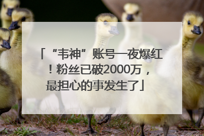 “韦神”账号一夜爆红！粉丝已破2000万，最担心的事发生了