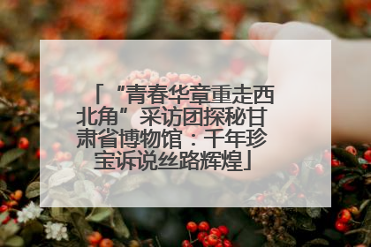 “青春华章重走西北角”采访团探秘甘肃省博物馆：千年珍宝诉说丝路辉煌