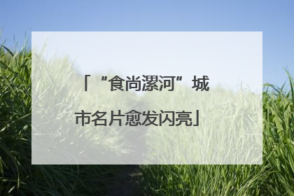 “食尚漯河”城市名片愈发闪亮