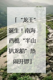 “龙王”诞生！南海西樵“半山扒龙船”热闹开锣