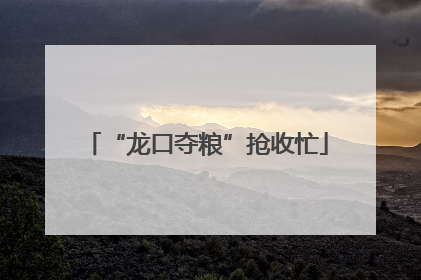 “龙口夺粮”抢收忙
