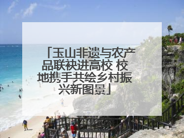 玉山非遗与农产品联袂进高校 校地携手共绘乡村振兴新图景
