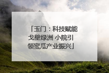 玉门：科技赋能戈壁绿洲 小院引领蜜瓜产业振兴