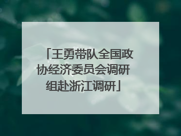 王勇带队全国政协经济委员会调研组赴浙江调研