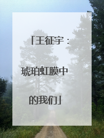 王征宇：琥珀虹膜中的我们