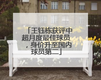 王钰栋获评中超月度最佳球员，身价升至国内球员第二