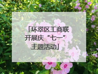 环翠区工商联开展庆“七一”主题活动