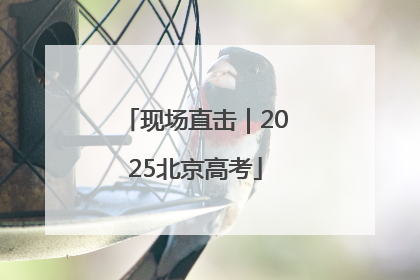 现场直击｜2025北京高考