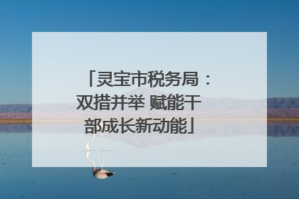 灵宝市税务局：双措并举 赋能干部成长新动能
