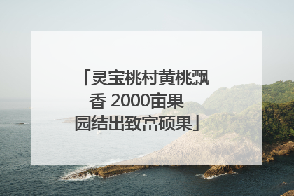 灵宝桃村黄桃飘香 2000亩果园结出致富硕果