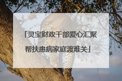 灵宝财政干部爱心汇聚 帮扶患病家庭渡难关