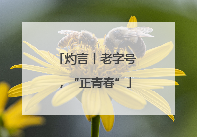 灼言丨老字号，“正青春”