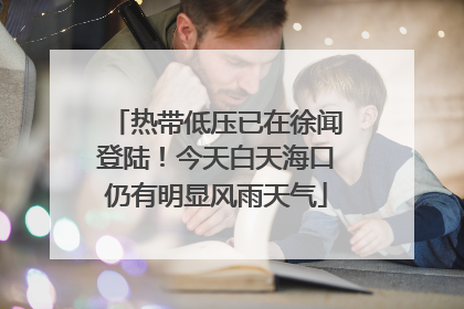 热带低压已在徐闻登陆！今天白天海口仍有明显风雨天气