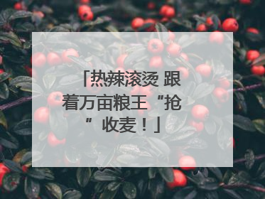 热辣滚烫 跟着万亩粮王“抢”收麦！