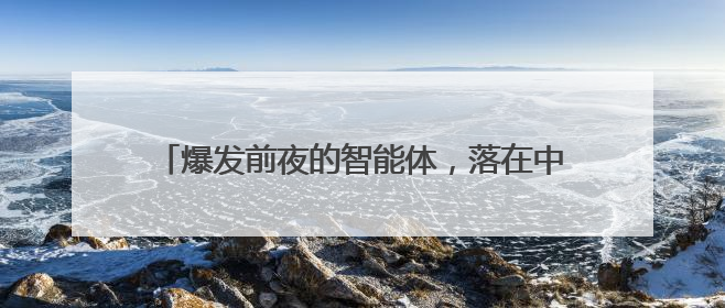 爆发前夜的智能体，落在中国算力的舒适区｜海斌访谈