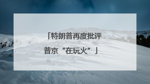 特朗普再度批评普京“在玩火”