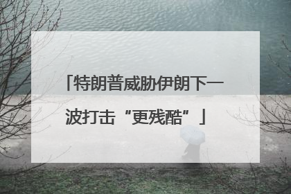 特朗普威胁伊朗下一波打击“更残酷”