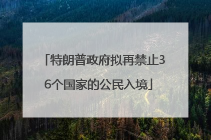 特朗普政府拟再禁止36个国家的公民入境