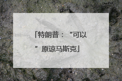 特朗普：“可以”原谅马斯克