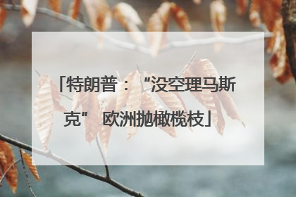 特朗普：“没空理马斯克” 欧洲抛橄榄枝