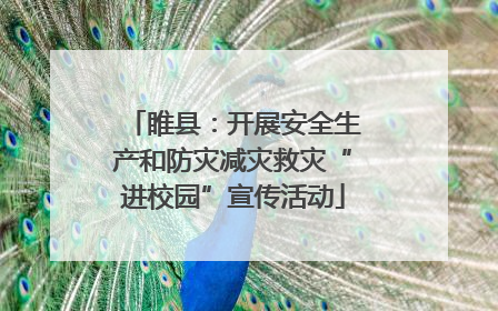 睢县：开展安全生产和防灾减灾救灾“进校园”宣传活动