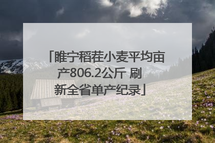 睢宁稻茬小麦平均亩产806.2公斤 刷新全省单产纪录