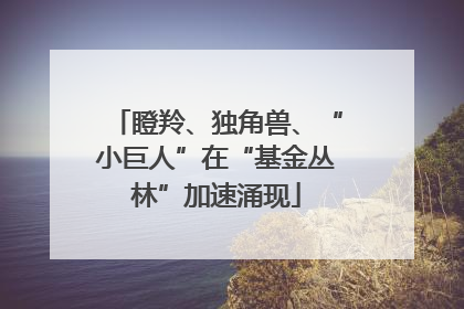瞪羚、独角兽、“小巨人”在“基金丛林”加速涌现