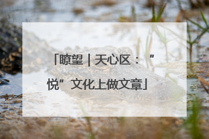 瞭望｜天心区：“悦”文化上做文章