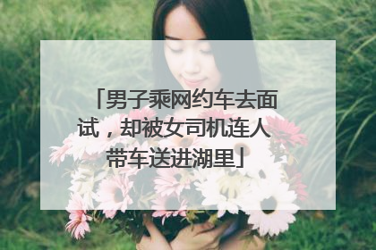男子乘网约车去面试，却被女司机连人带车送进湖里