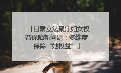 甘肃立法聚焦妇女权益保障新问题：多维度保障“她权益”