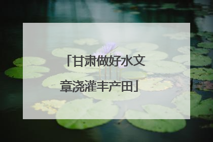 甘肃做好水文章浇灌丰产田