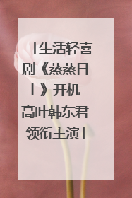 生活轻喜剧《蒸蒸日上》开机 高叶韩东君领衔主演