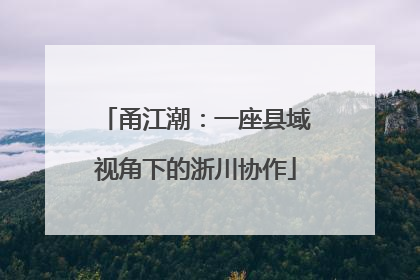 甬江潮：一座县域视角下的浙川协作