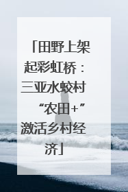 田野上架起彩虹桥：三亚水蛟村“农田+”激活乡村经济