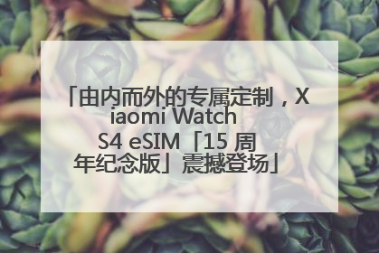 由内而外的专属定制，Xiaomi Watch S4 eSIM「15 周年纪念版」震撼登场