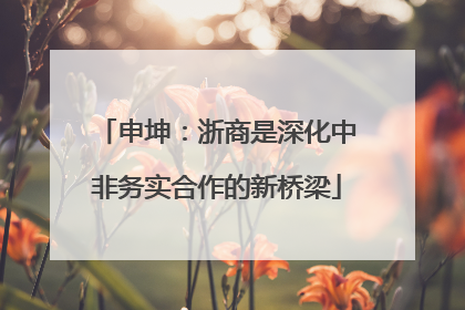 申坤：浙商是深化中非务实合作的新桥梁