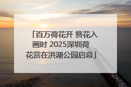 百万荷花开 簪花入画时 2025深圳荷花赏在洪湖公园启幕