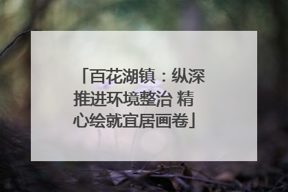 百花湖镇：纵深推进环境整治 精心绘就宜居画卷