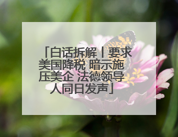 白话拆解丨要求美国降税 暗示施压美企 法德领导人同日发声