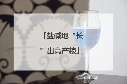 盐碱地“长”出高产粮